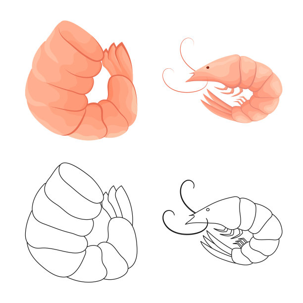 设计开胃菜和海洋图标图片下载