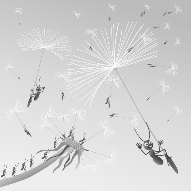 蚂蚁正在空气中传播种子图片下载