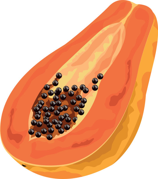 异国情调的热带水果图标卡通图片下载