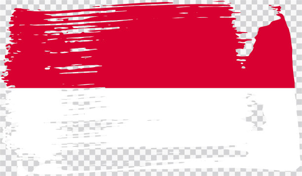 现实的国旗图片下载