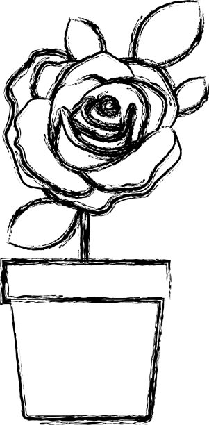 模糊的剪影花玫瑰与叶图片下载