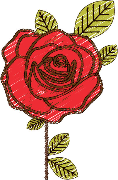 用彩色铅笔画一朵红玫瑰图片下载