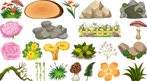 自然对象集图片下载