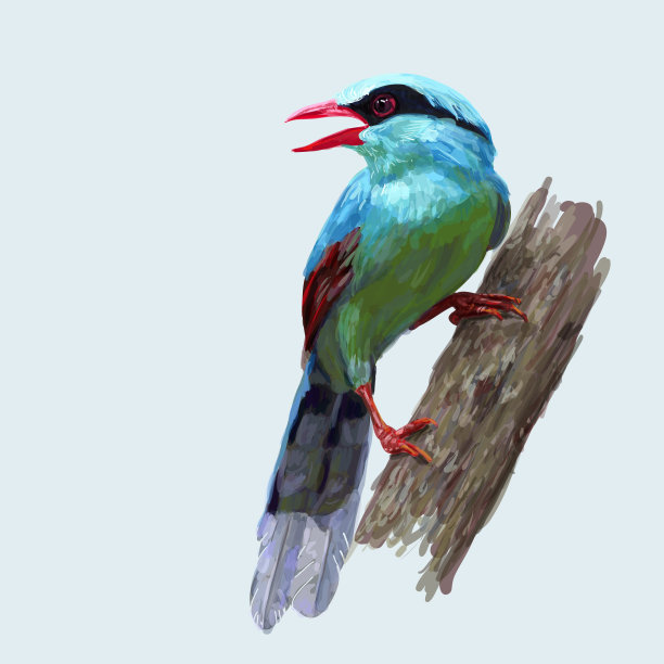 画一种常见的绿色喜鹊图片下载