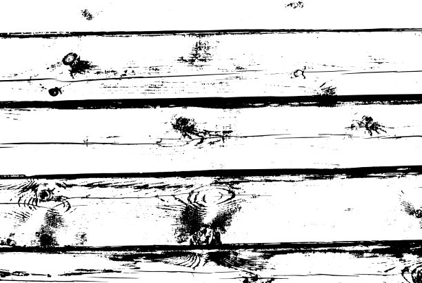 木渣纹理天然木孤立图片下载