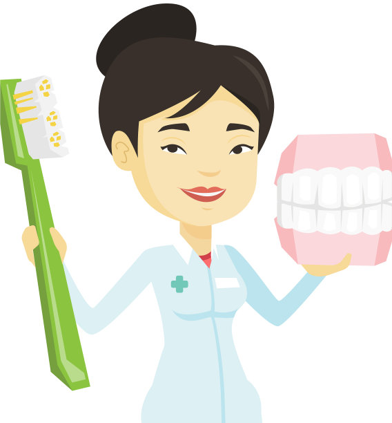 有牙颌模型和牙刷的牙医图片下载