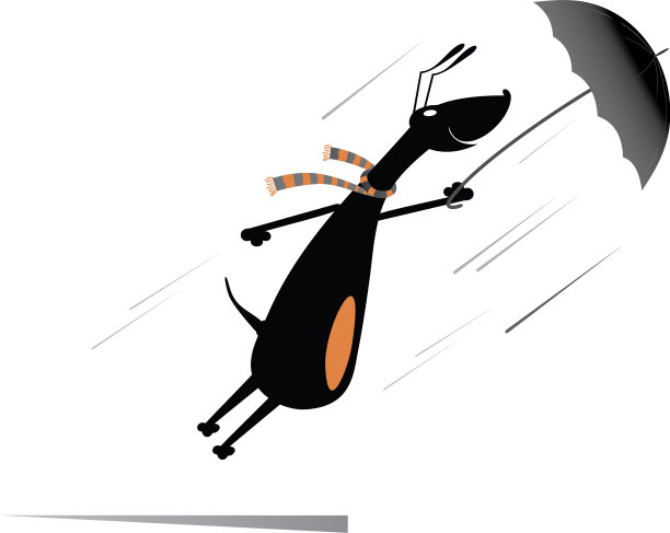 有风的日子图片下载