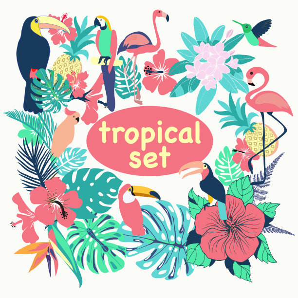 收集热带鸟类的棕榈叶图片下载