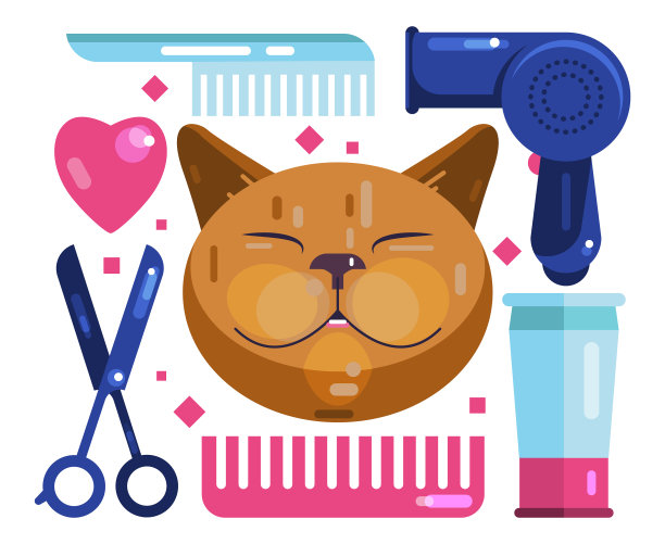 猫梳理吹干剪和梳图片下载