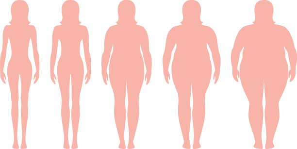 身体质量指数图片下载