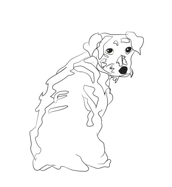 狗坐行图片下载