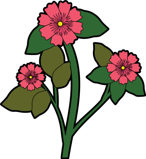 美丽的观赏花图片下载