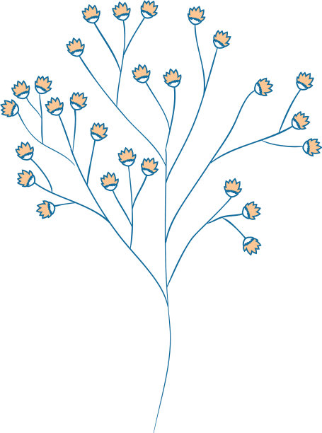 美丽的观赏花图片下载