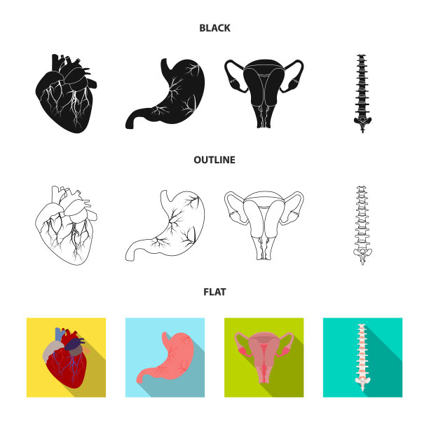人体和人体符号的设计集图片下载