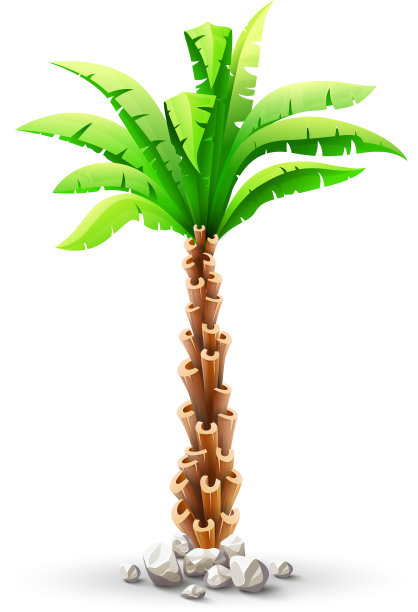 热带椰子树图片下载