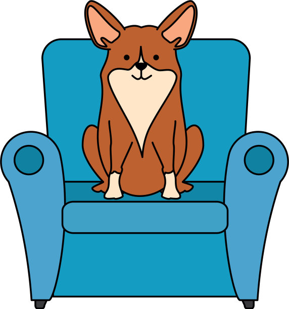 可爱的狗在沙发性格图片下载