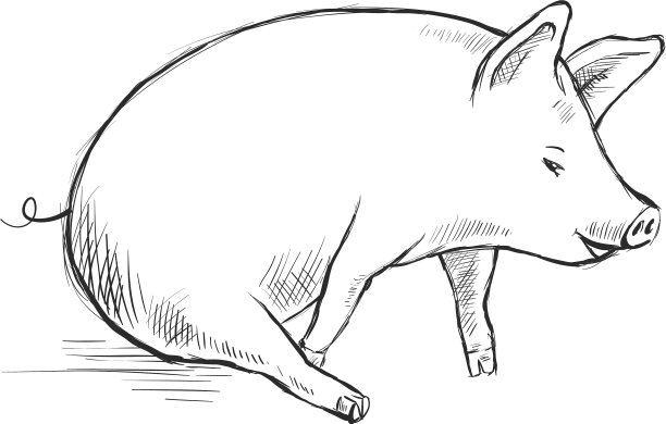 等高线画滑稽猪手绘图片下载