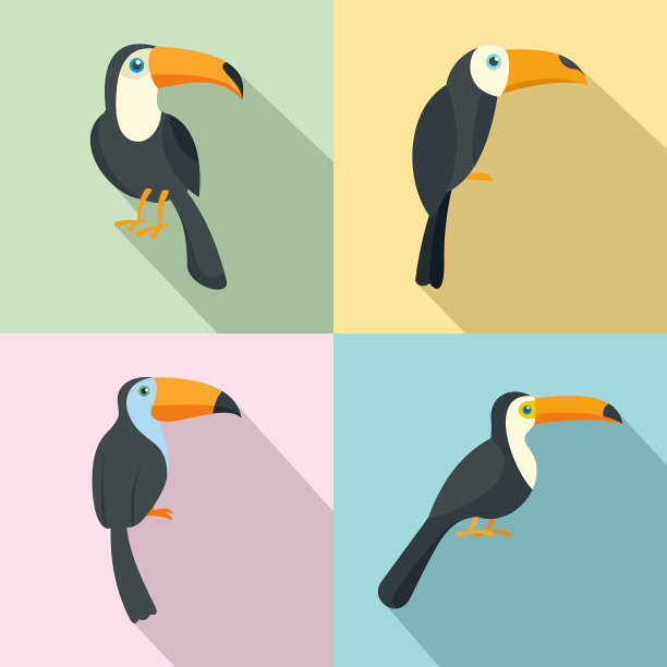 巨嘴鸟鹦鹉图标设置扁平风格图片下载