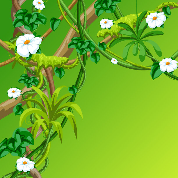 扭曲的野生藤本植物的树枝背景丛林图片下载