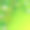 扭曲的野生藤本植物的树枝背景丛林图片下载