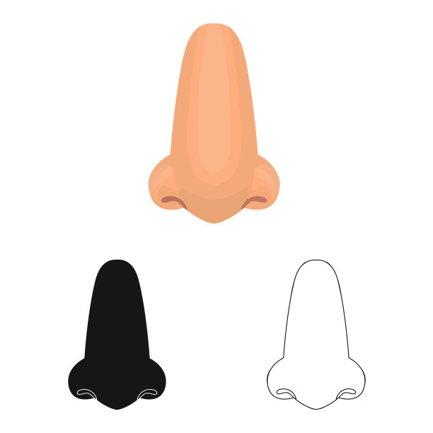 的身体和部分图标集图片下载