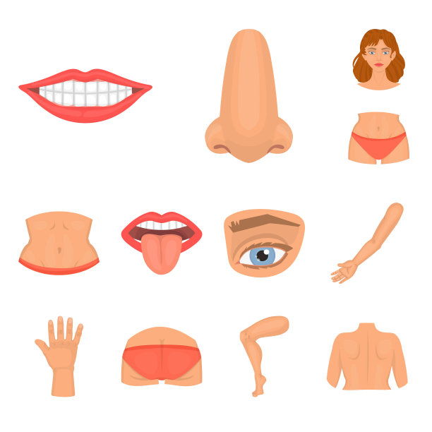 孤立对象的身体和部分符号集图片下载