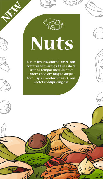 天然坚果和种子模板手绘图片下载