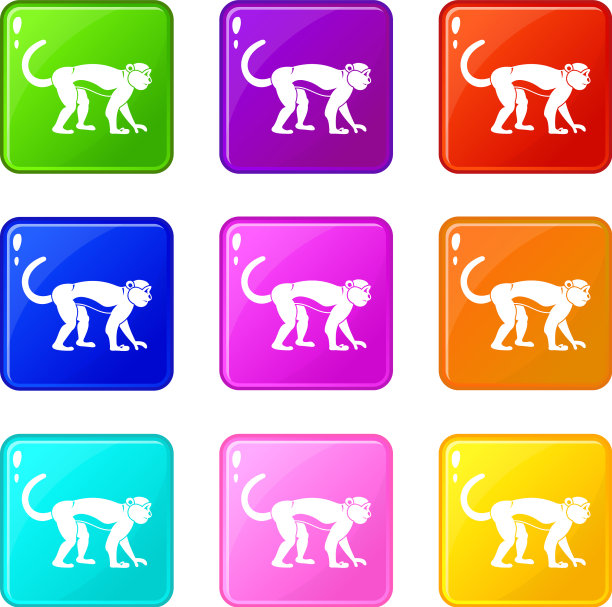 猕猴图标9集图片下载