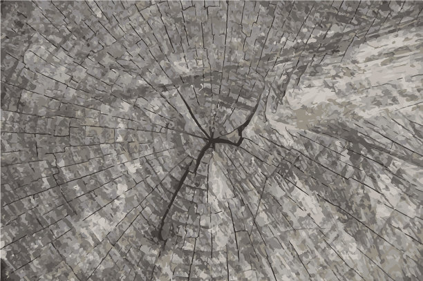 垃圾纹理背景天然木质图片下载