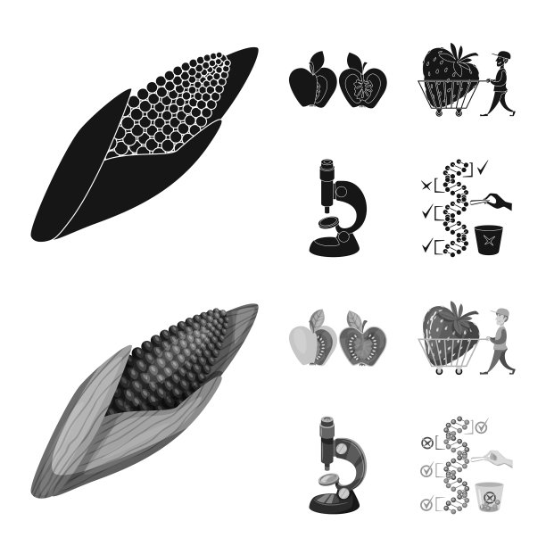 设计测试和合成标志集图片下载