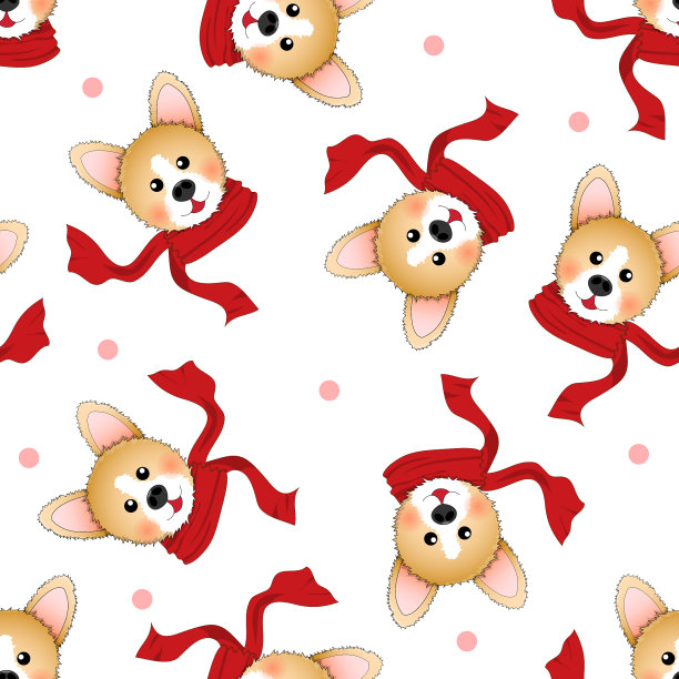 白色背景上围着红色围巾的柯基犬图片下载