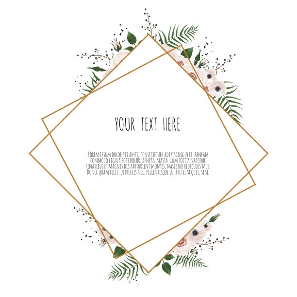 植物卡与野花叶子春天图片下载