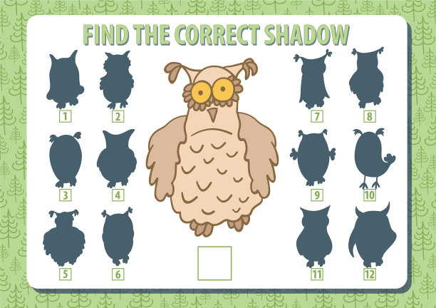 猫头鹰找到正确的a4影碟横影图片下载