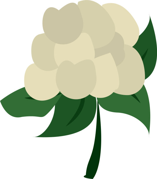 菜花蔬菜健康食品卡通图片下载