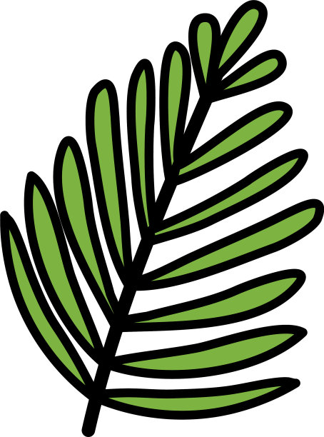 异国情调的热带棕榈叶图片下载