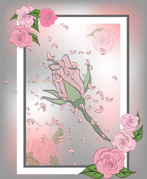 质地来自玫瑰、樱花和莲花花瓣图片下载