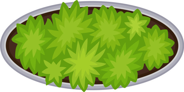 从上面看椭圆形花坛图片下载