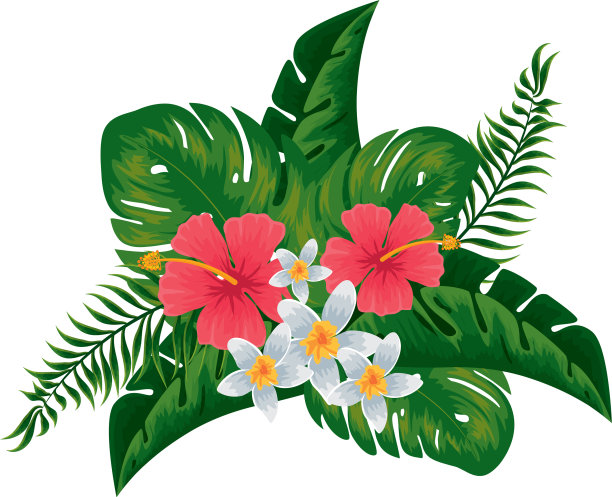 异国情调的热带花卉和树叶装饰图片下载
