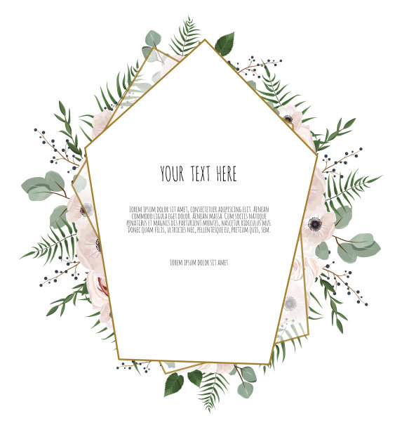 植物卡与野生叶春天点缀图片下载