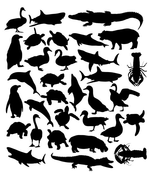 动物组图片下载