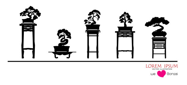 设置盆景树图片下载