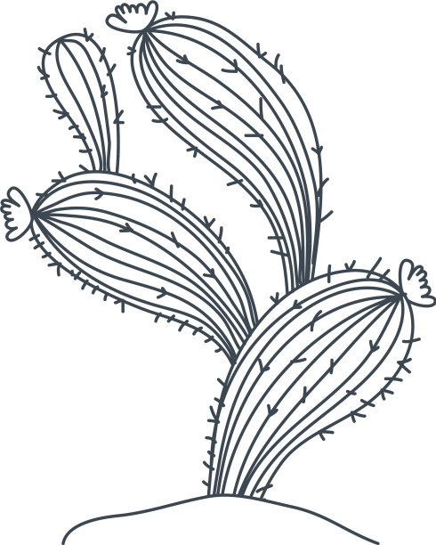 仙人掌在景观孤立图标图片下载