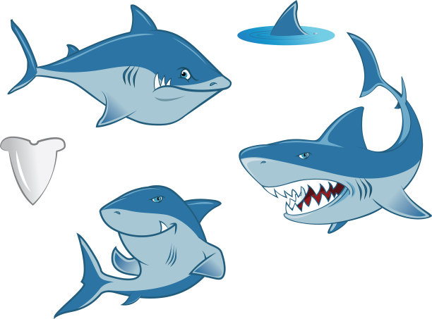 鲨鱼集合图片下载