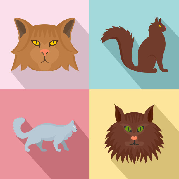 缅因猫头像图标设置扁平风格图片下载