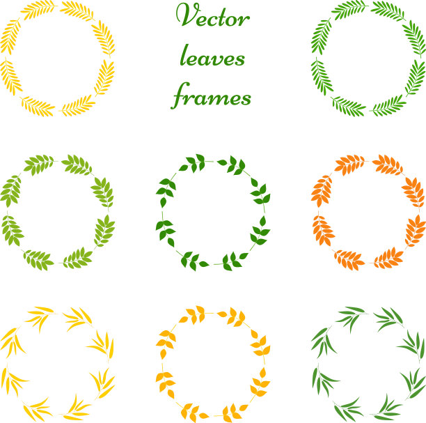 叶片框架组图片下载