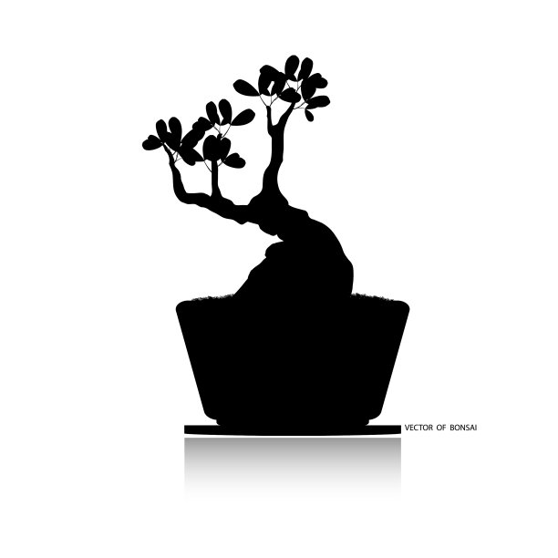 盆景树，盆中迷你树图片下载