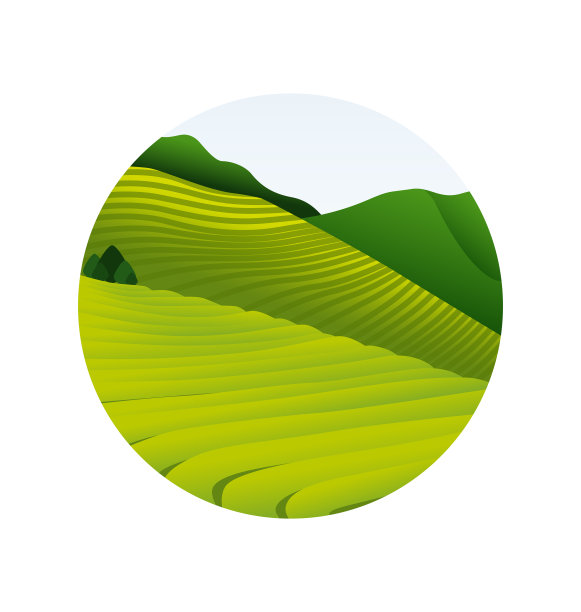 茶园在晨景青山图片下载