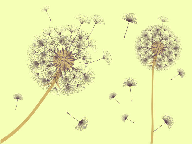 抽象的背景图片下载