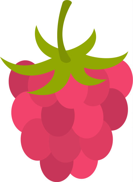 成熟新鲜的树莓图标孤立图片下载
