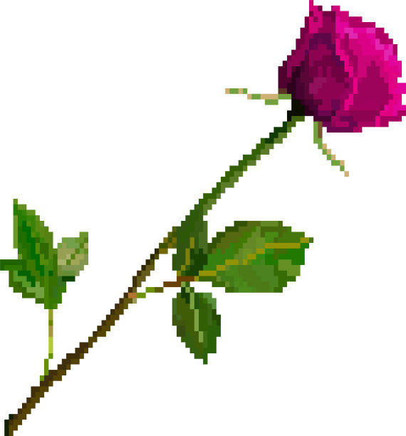 像素艺术玫瑰花孤立在白色背景图片下载